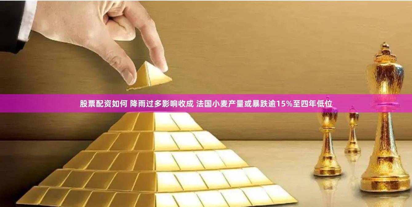 股票配资如何 降雨过多影响收成 法国小麦产量或暴跌逾15%至四年低位